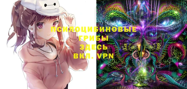 марки lsd Новозыбков
