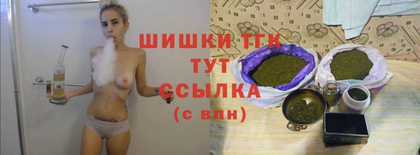 твердый Няндома