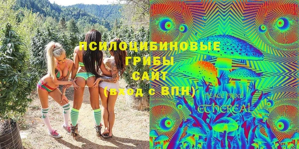 ПСИЛОЦИБИНОВЫЕ ГРИБЫ Нязепетровск