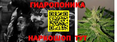 ALPHA PVP Бийск