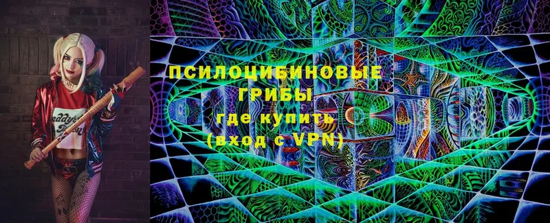 darknet телеграм  блэк спрут зеркало  Каменка  Псилоцибиновые грибы MAGIC MUSHROOMS 