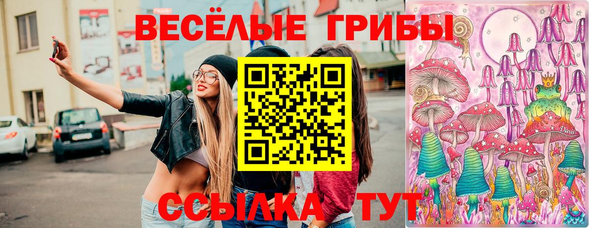 Псилоцибиновые грибы MAGIC MUSHROOMS Каменка