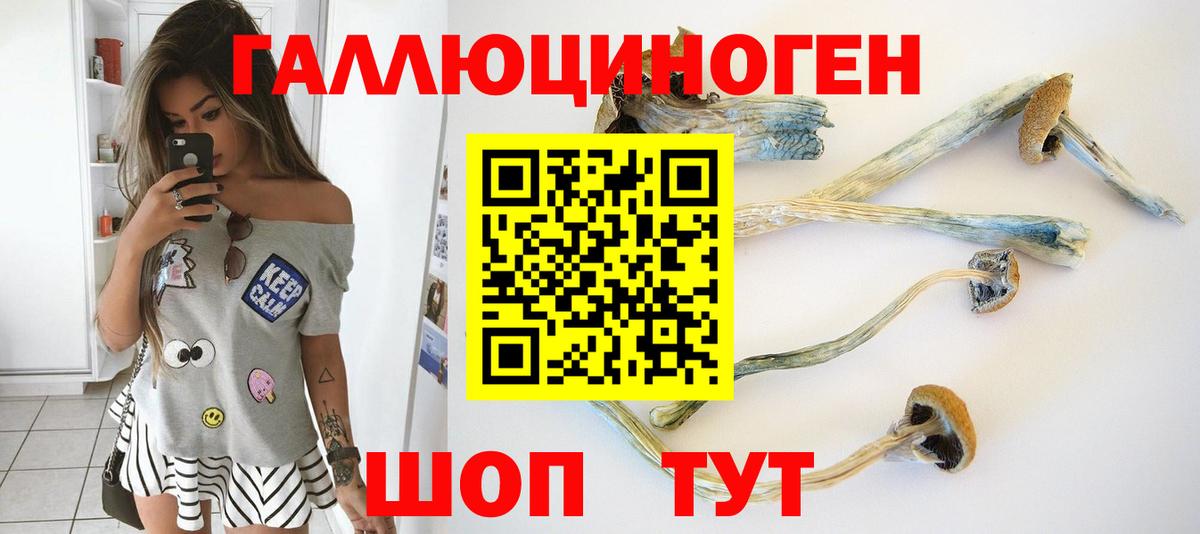 Каменка  Галлюциногенные грибы прущие грибы  Вход с VPN 