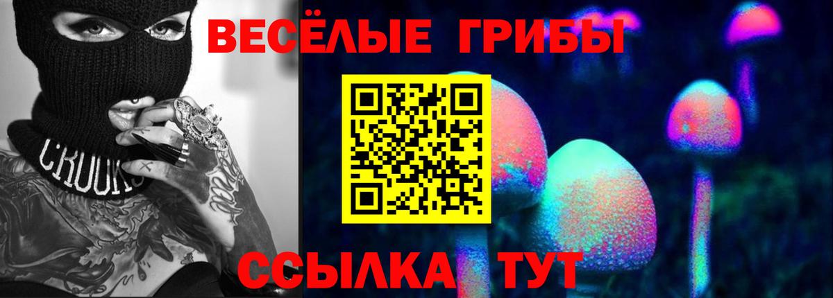 Галлюциногенные грибы мухоморы  Каменка 