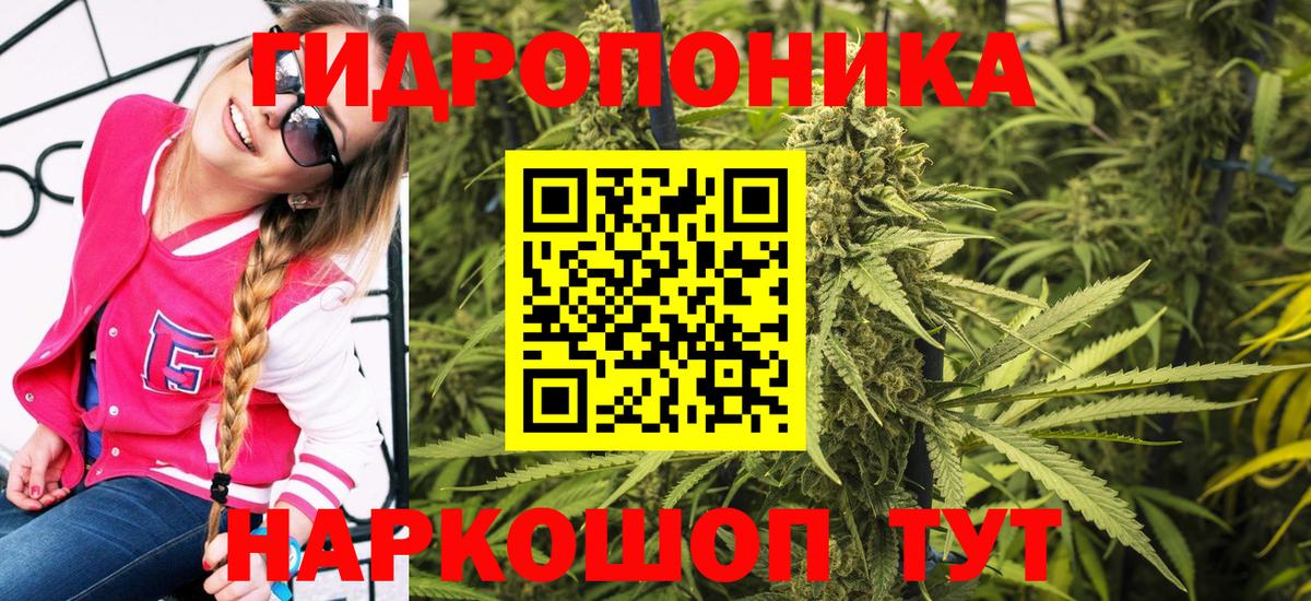МАРИХУАНА THC 21%  Марихуана планчик  МАРИХУАНА SATIVA & INDICA  Каменка  Вход с VPN 